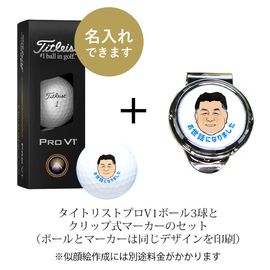 タイトリストプロＶ1（12球入）
