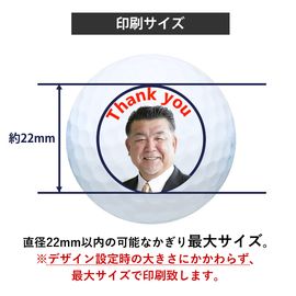 タイトリストプロＶ1（12球入）