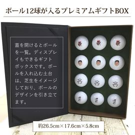 レジェンドBOX(12球用)