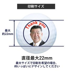 タイトリストプロＶ1（12球入）
