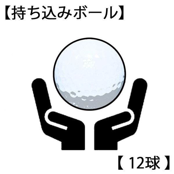 持ち込みボール（１２球単位）