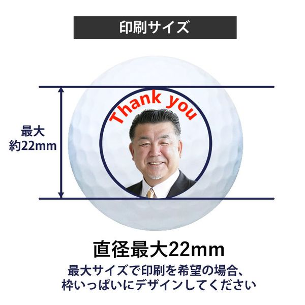 タイトリストプロＶ1（12球入）