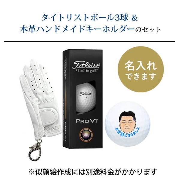 タイトリストプロＶ1（12球入）